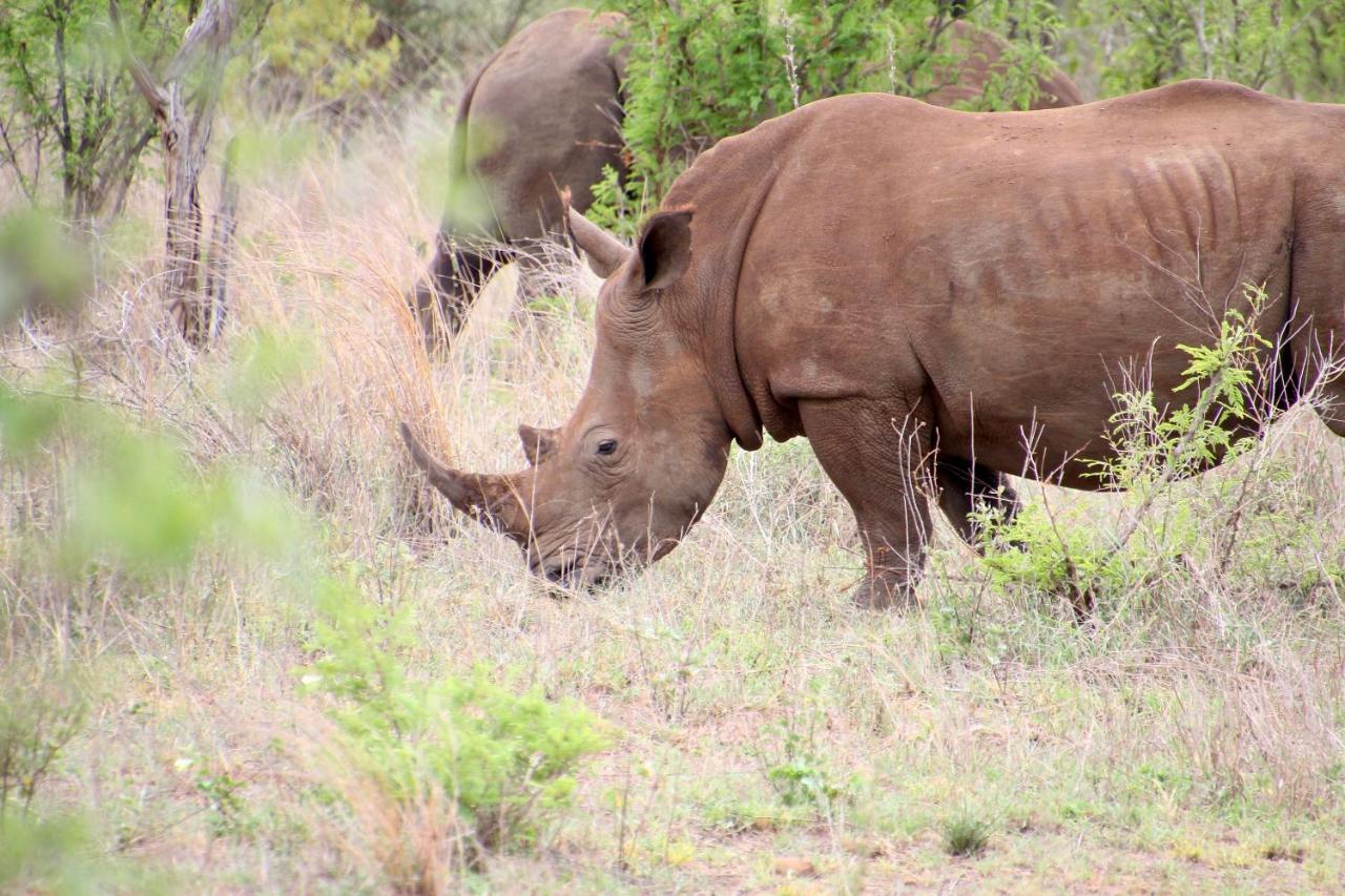 Jackals Dream - Self Catering Bordering Kruger National Park * Marloth Park