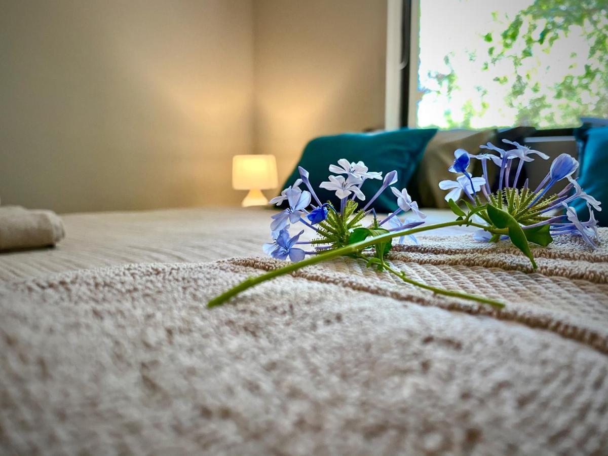 Jackals Dream - Self Catering Bordering Kruger National Park Villa