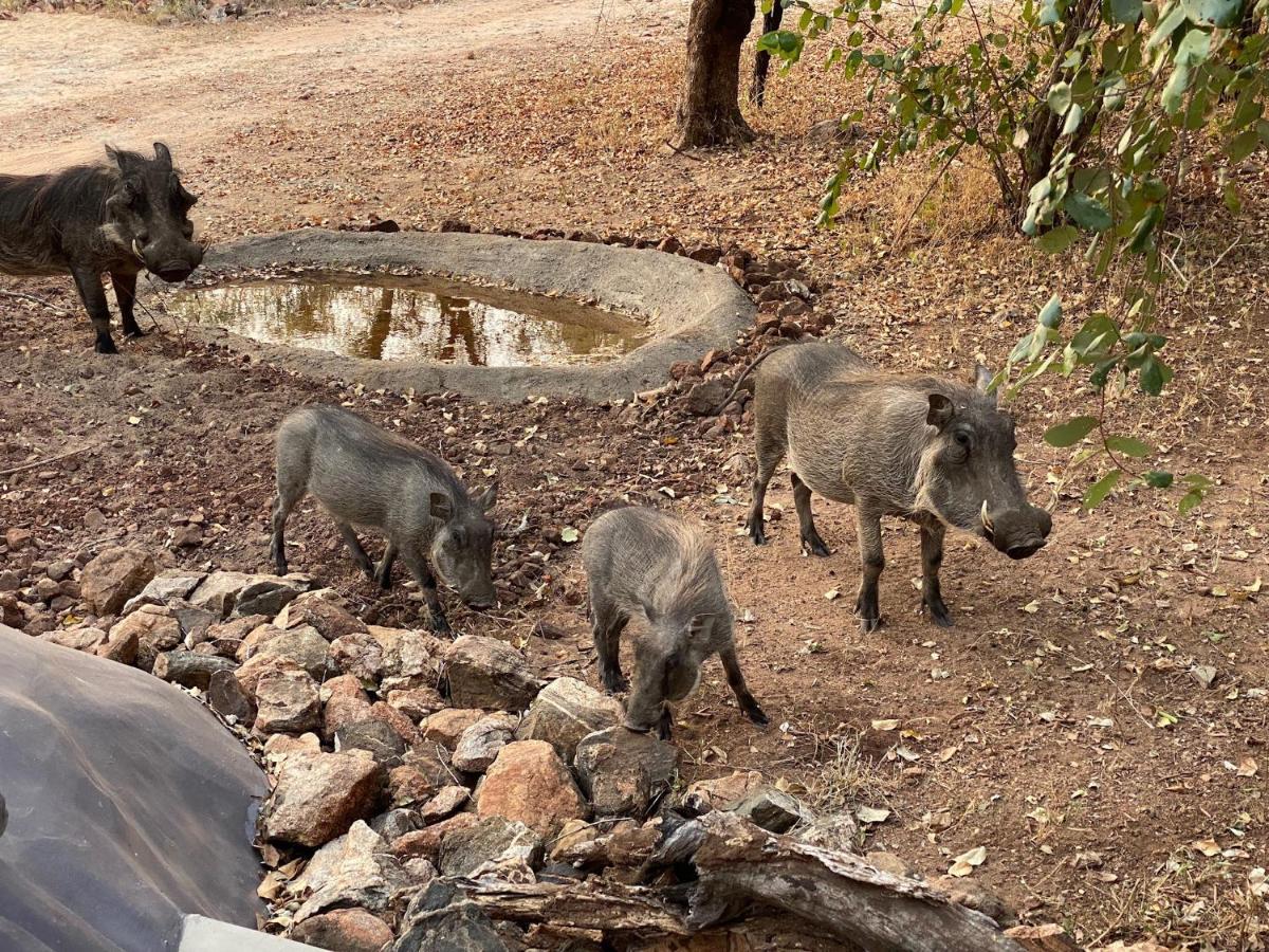 Villa Jackals Dream - Self Catering Bordering Kruger National Park