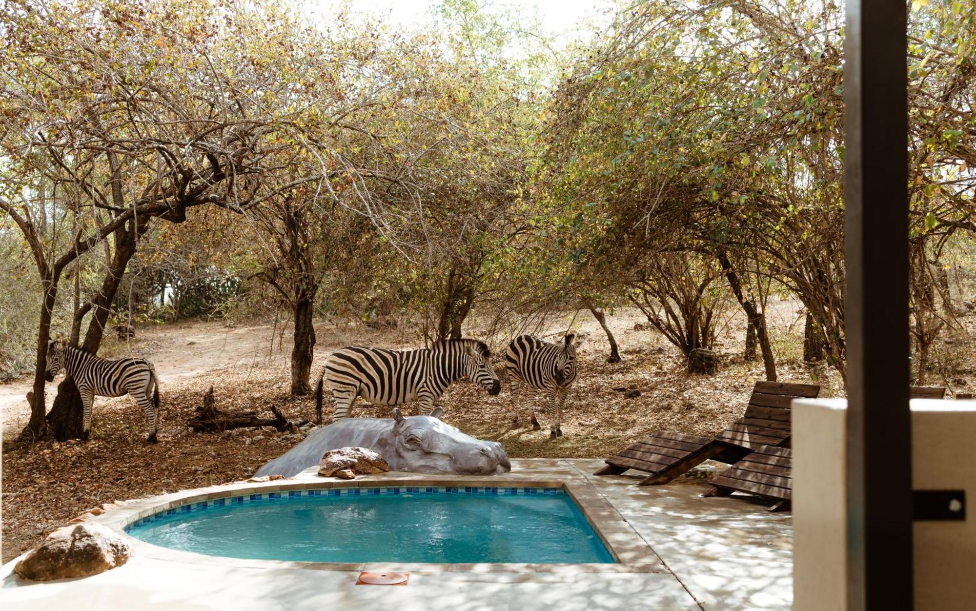Jackals Dream - Self Catering Bordering Kruger National Park
