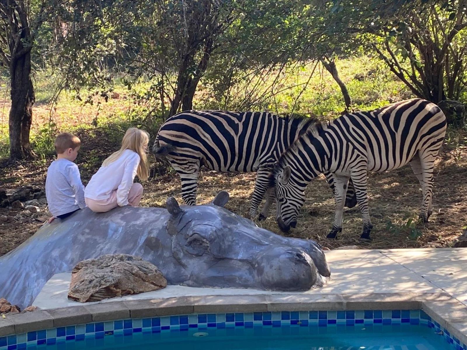 Jackals Dream - Self Catering Bordering Kruger National Park * Marloth Park